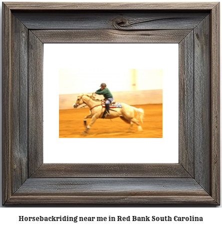 horseback riding near me in Red Bank, South Carolina